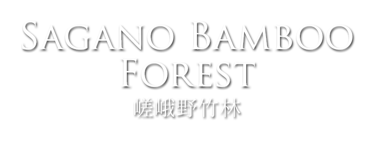 sagano arashiyama bamboo forest