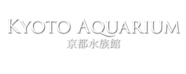 kyoto aquarium