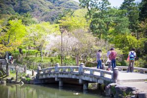 kyoto maruyama park