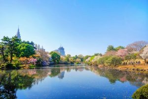 tokyo national garden shinjuku gyoen