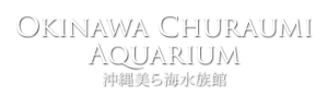 okinawa churaumi aquarium