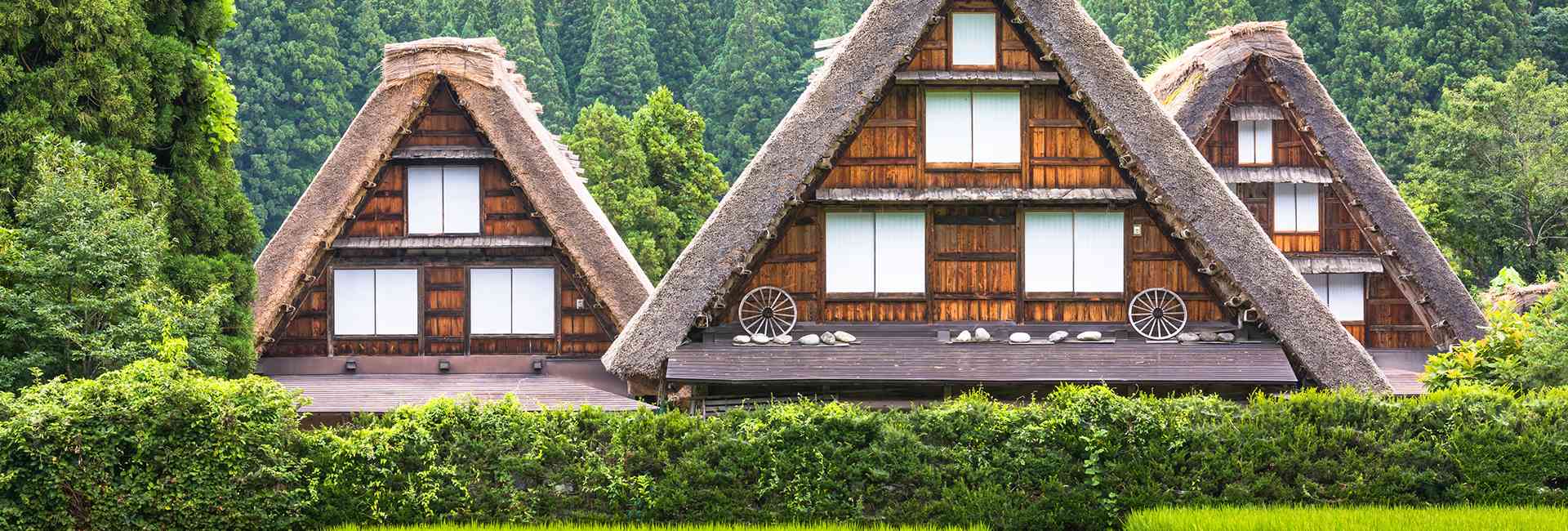 traditional houses in Shirakawa-go