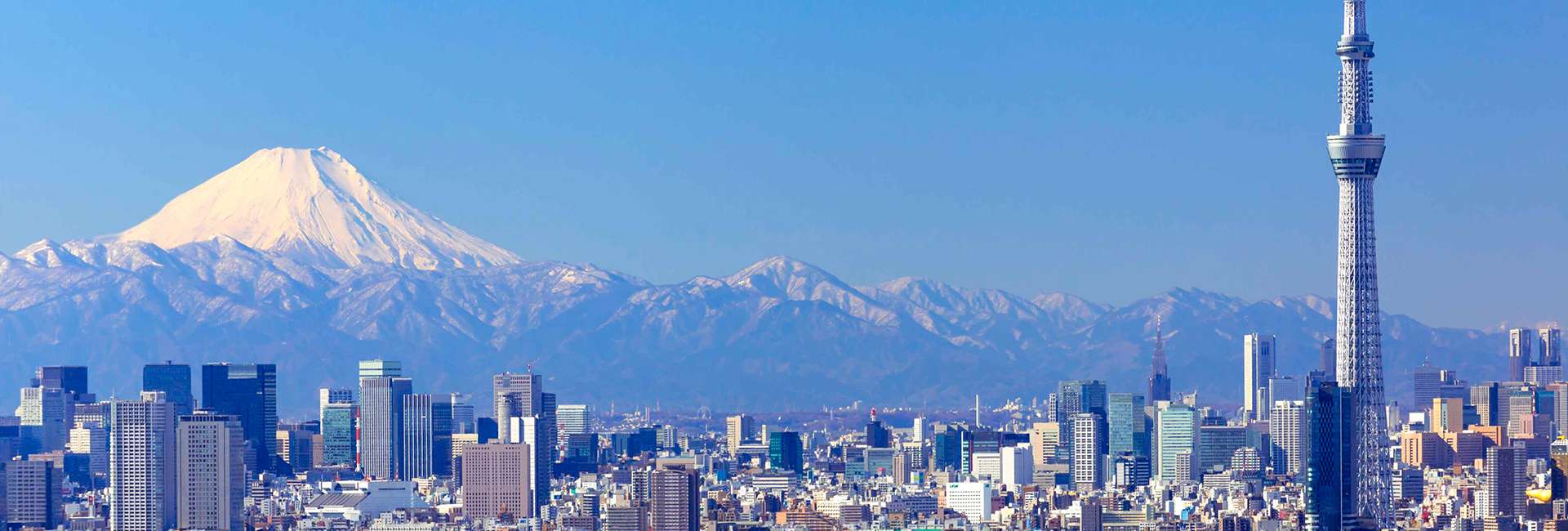 View of Tokyo with Mount Fuji