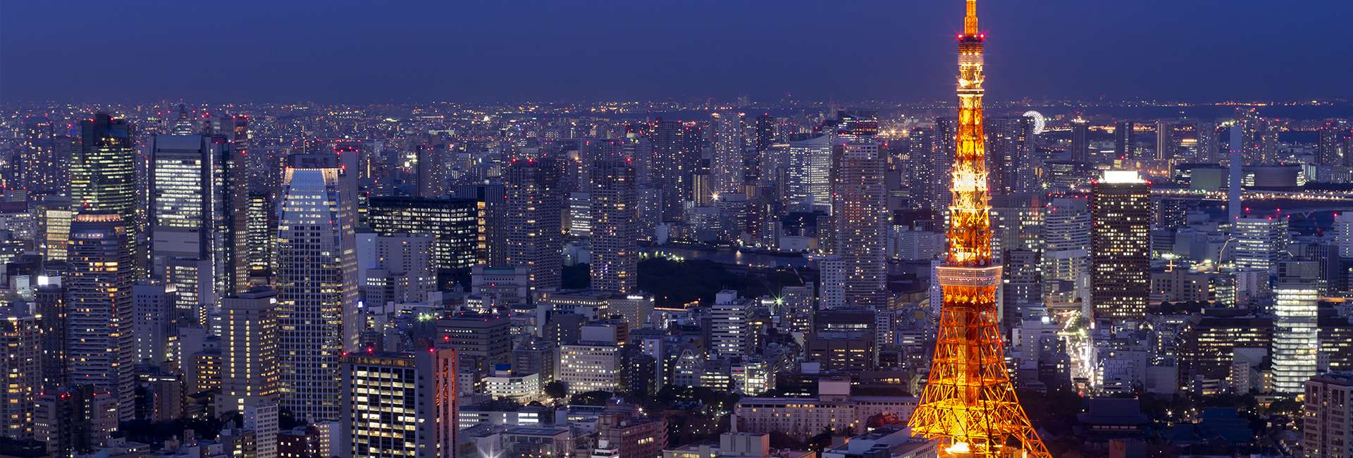 Tokyo the nuit