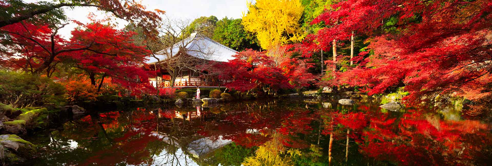 automne à Kyoto