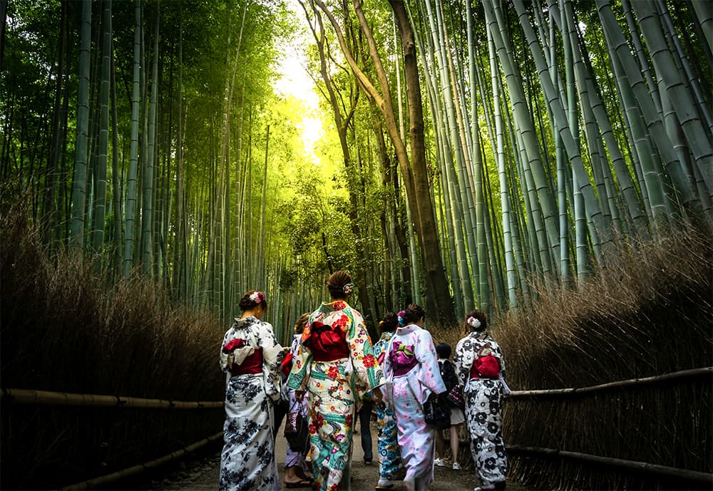 des femmes en kimono dans la forêt de bambous