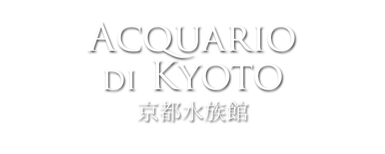 acquario di kyoto
