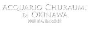 acquario churaumi di okinawa